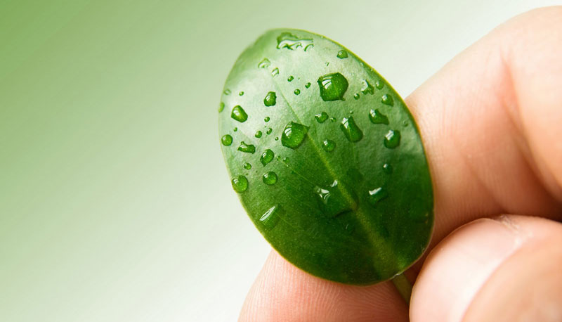 marketingsustentavel