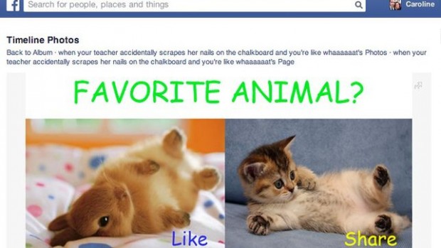 facebook-like-baiting-620x349